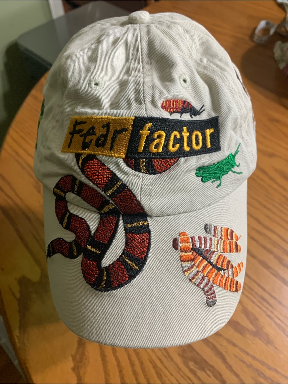 Kids Universal Studios Fear Factor hat.